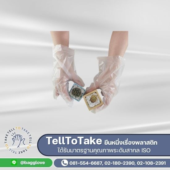 โรงงานผลิตถุงมือพลาสติกใส โรงงานผลิตถุงมือพลาสติกใส